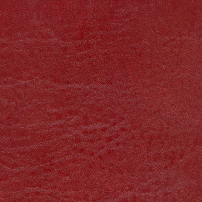 Seabreeze Reel Red