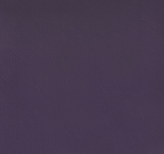 Olympus ADF Purple Velvet