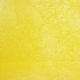 Cutlass Canary Yellow