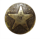 Bronze Star Medallion  Nail