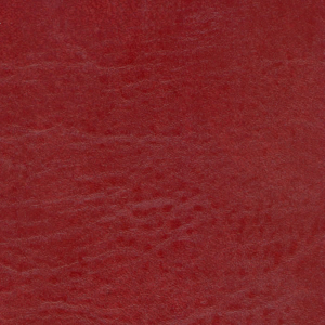 Seabreeze Reel Red