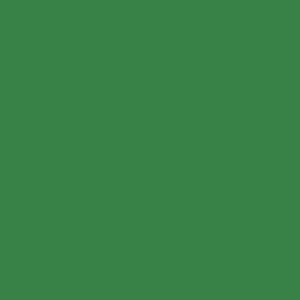 Sattler 745 Evolution Galapagos Green