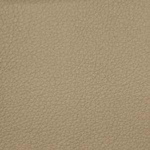 Nissan Sand Leather
