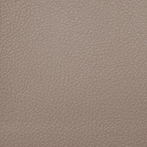 Toyota Cappuccino Leather