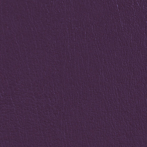 Colorguard Purple Iris