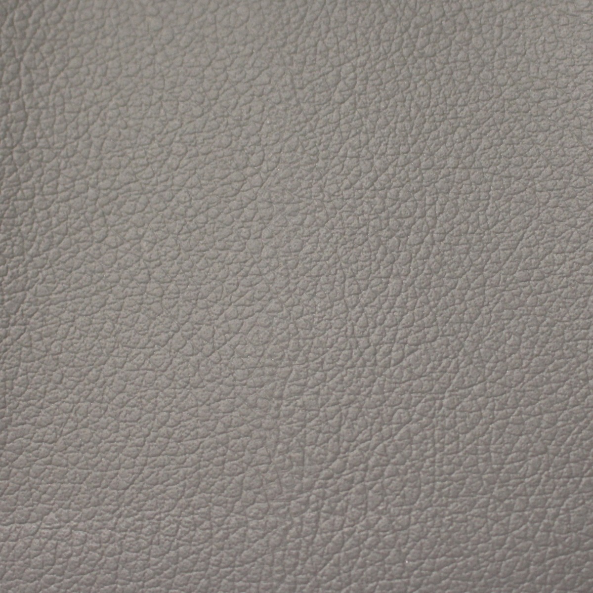 Toyota Medium Gray Leather
