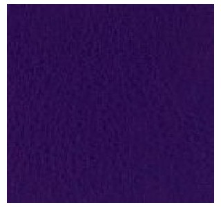 (Pvl9907)Navigator Soft Purple  Passion