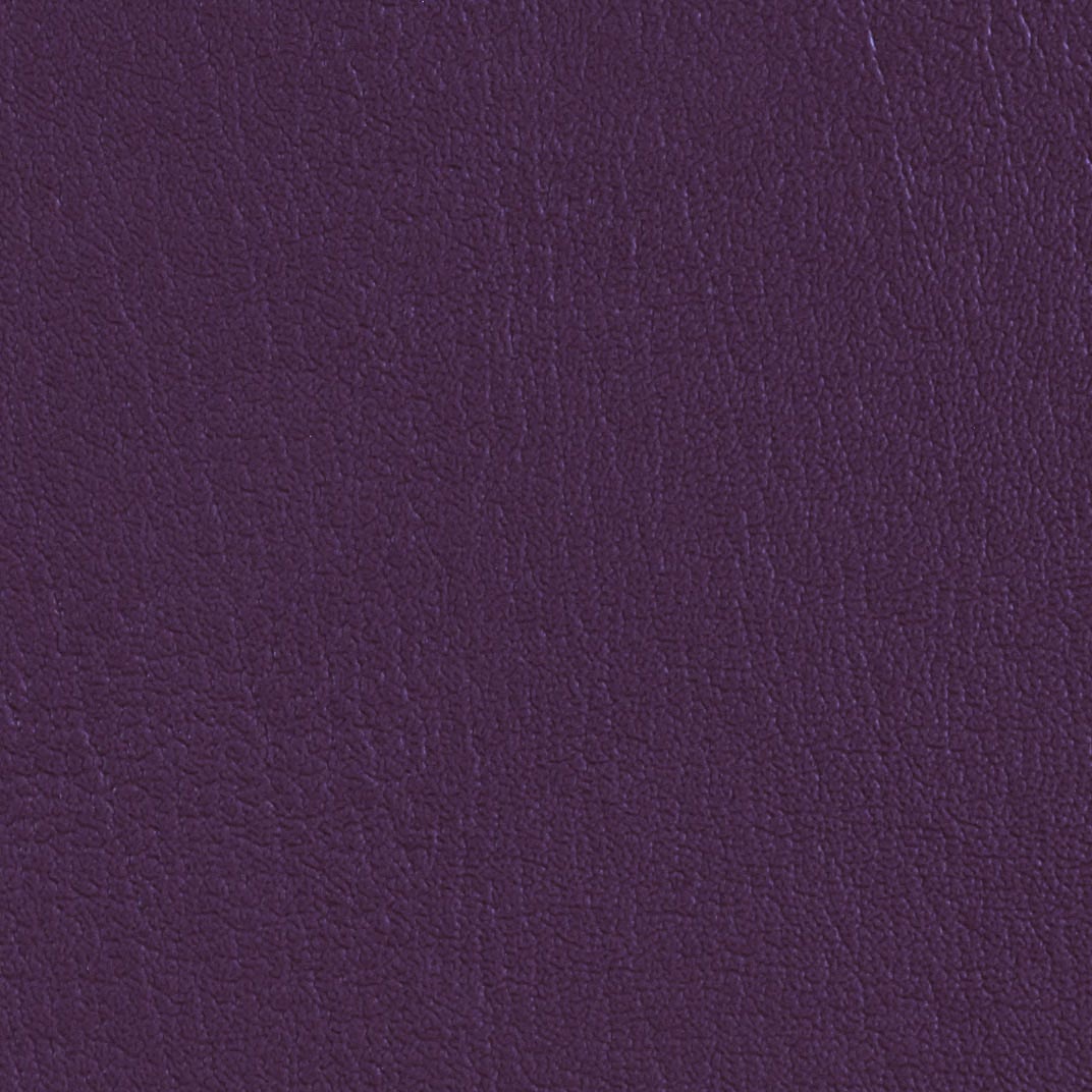 Colorguard Purple Iris